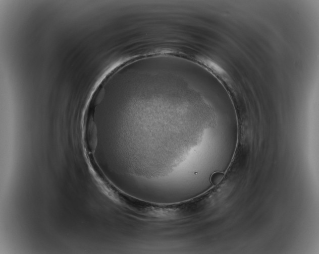 X0000086771039200704201801
