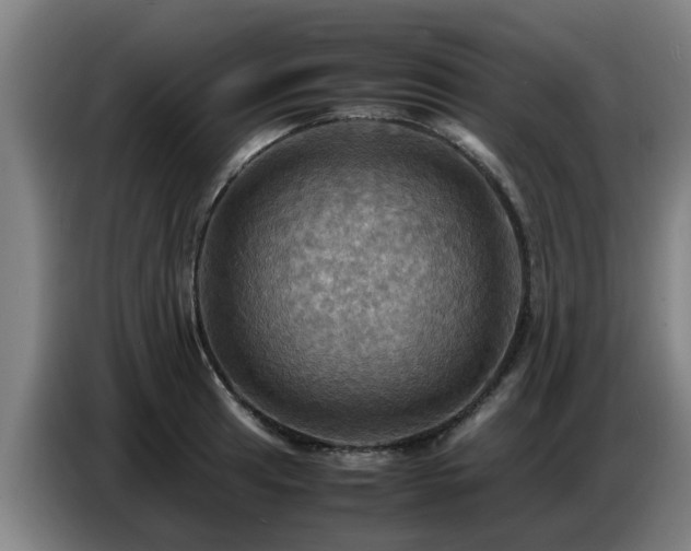 X0000086771041200704201801