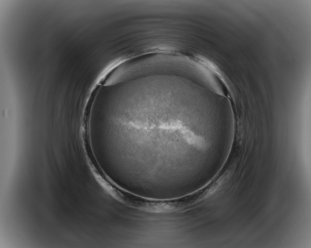 X0000086771042200704201801