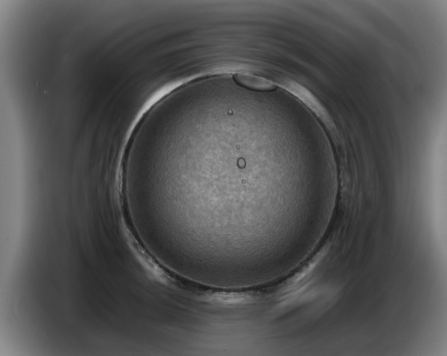 X0000086771044200704201801