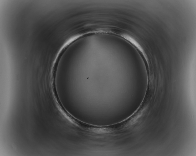 X0000086771045200704201801