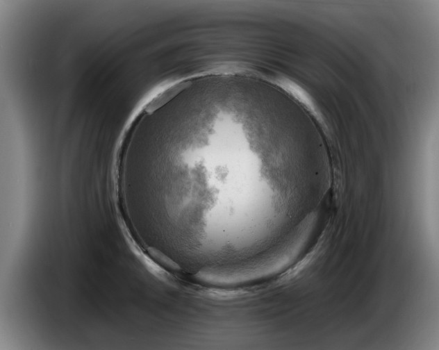 X0000086771046200704201801