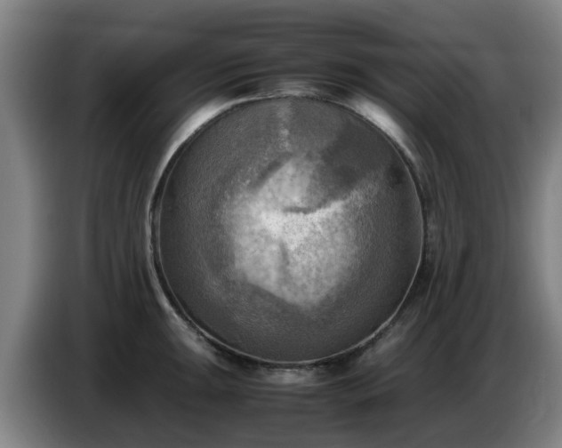 X0000086771047200704201801