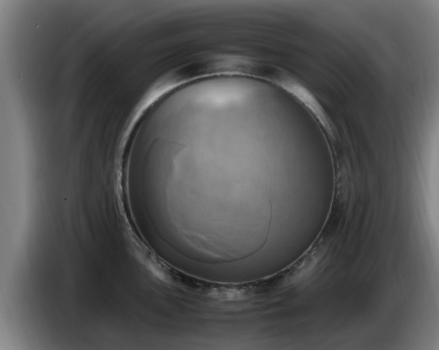 X0000086771051200704201801