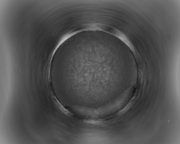 X0000086771052200704201801