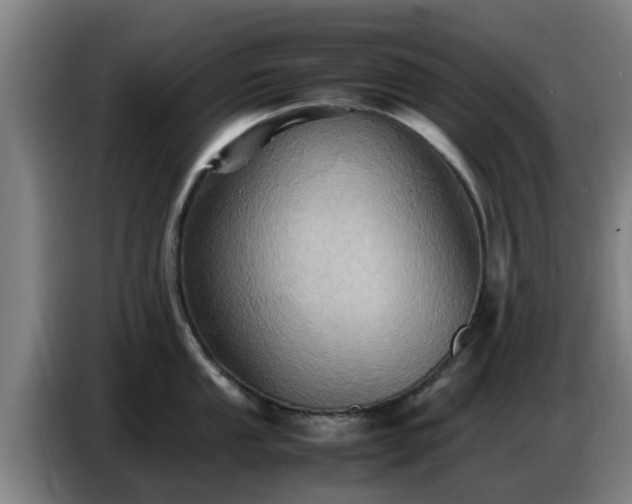 X0000086771053200704201801