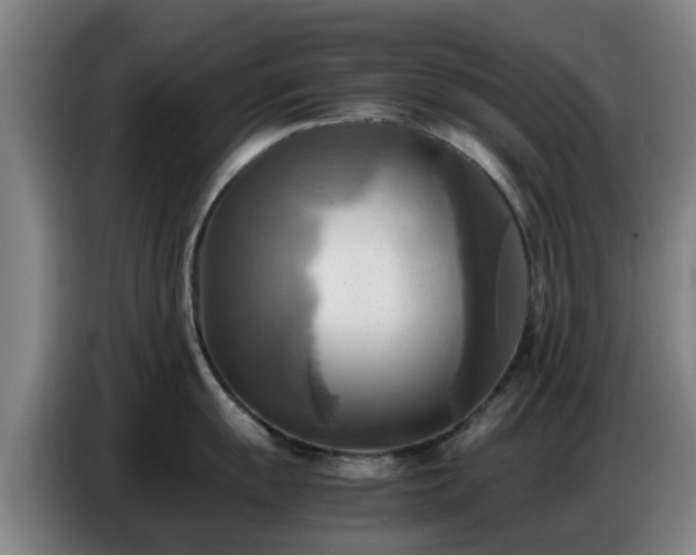 X0000086771055200704201801