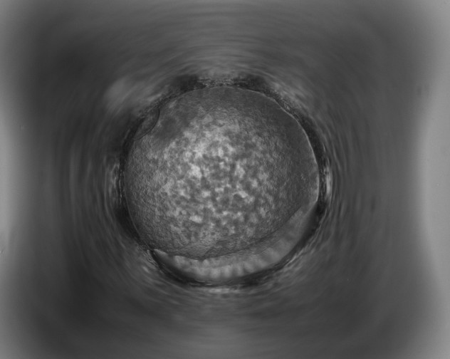 X0000086771059200704201800