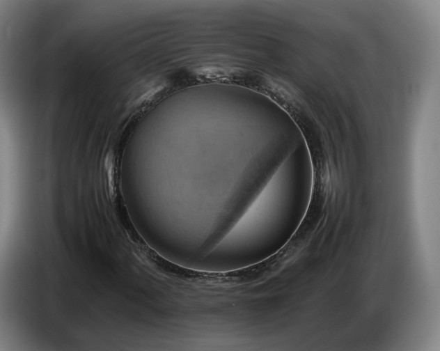 X0000086771060200704201800