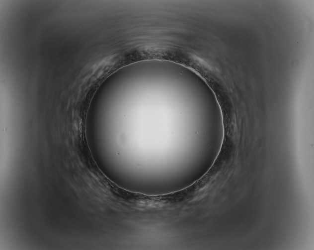 X0000086771061200704201800