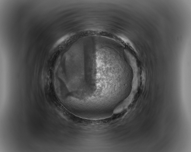 X0000086771064200704201800