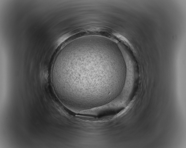 X0000086771065200704201800