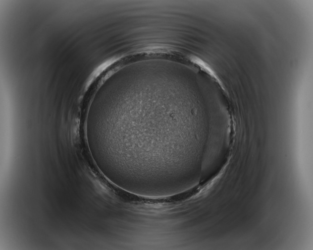 X0000086771066200704201800