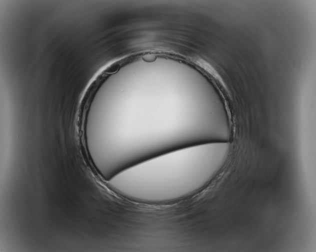 X0000086771068200704201800