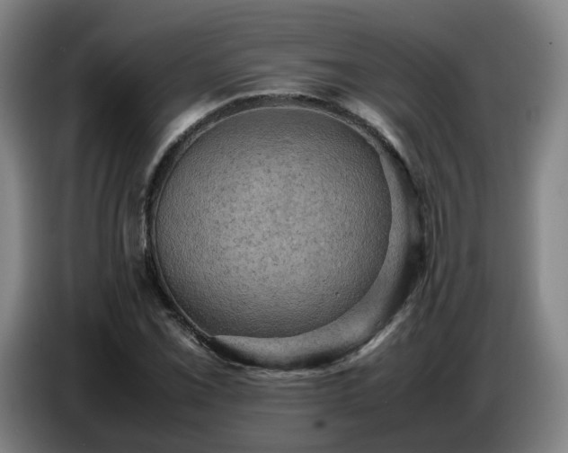 X0000086771069200704201800