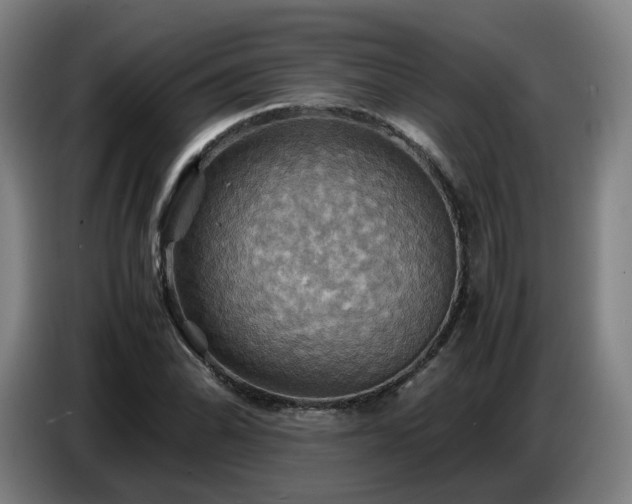 X0000086771070200704201800