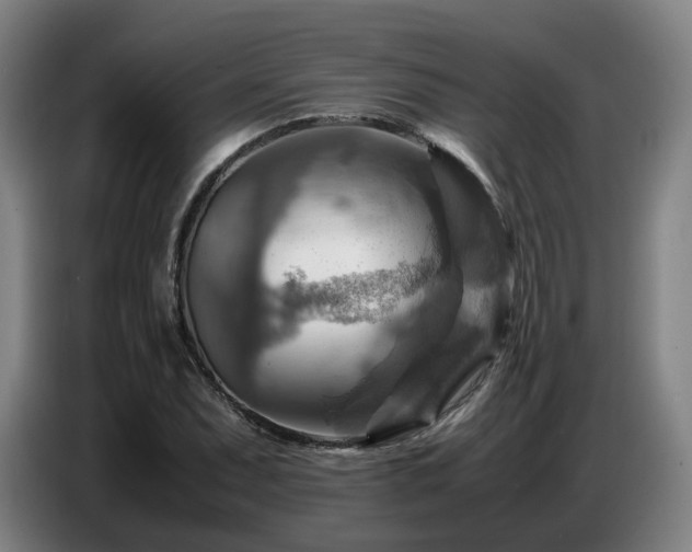 X0000086771071200704201800