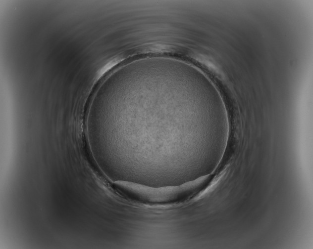 X0000086771073200704201800