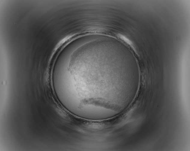 X0000086771074200704201800