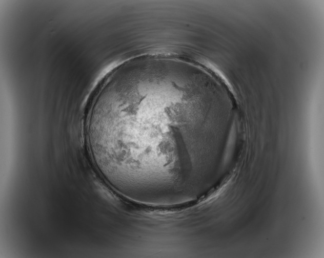 X0000086771075200704201800