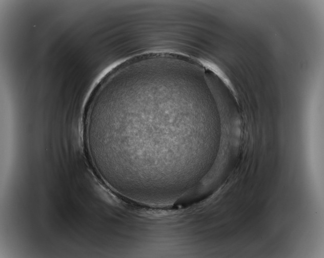 X0000086771076200704201800