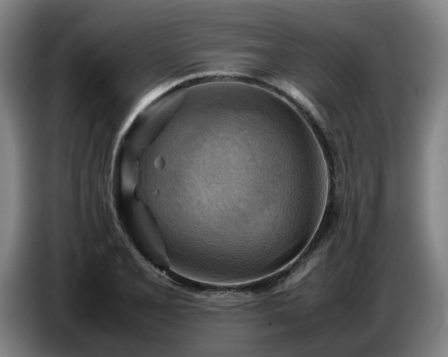X0000086771077200704201800