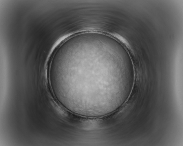 X0000086771078200704201800
