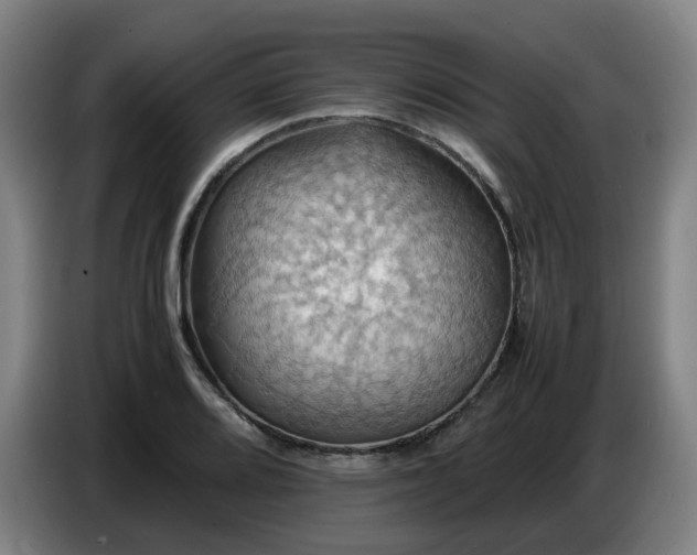 X0000086771080200704201800