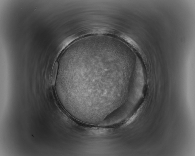 X0000086771081200704201800