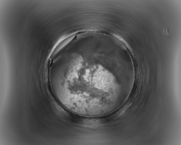 X0000086771083200704201800