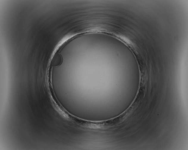 X0000086771086200704201800