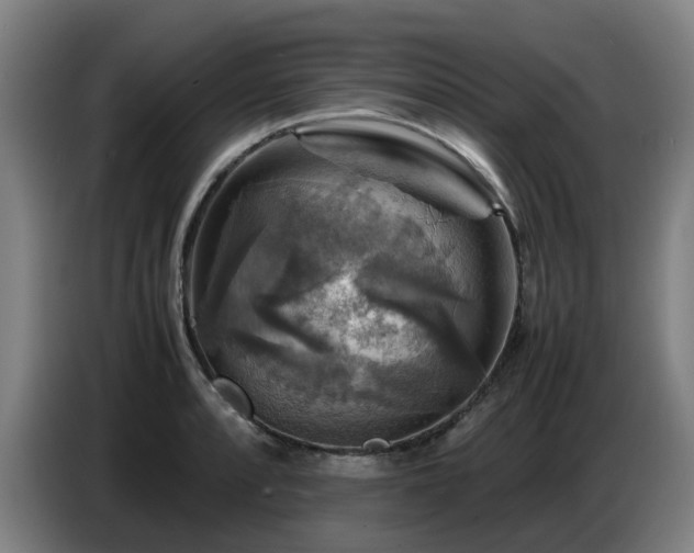 X0000086771088200704201800