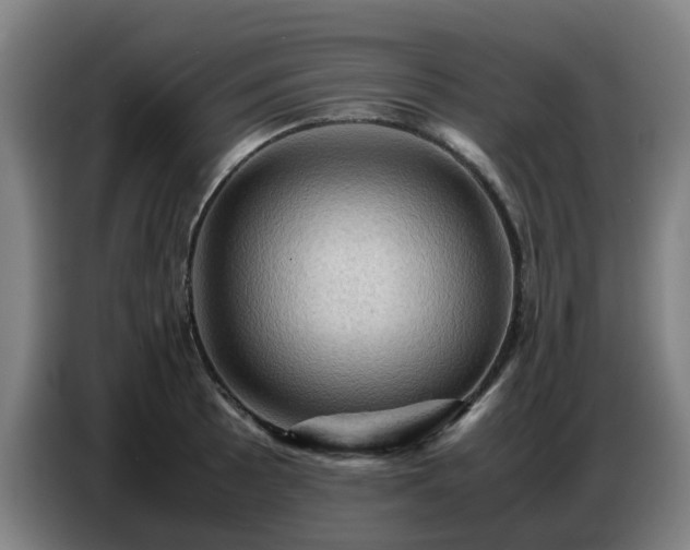 X0000086771089200704201800