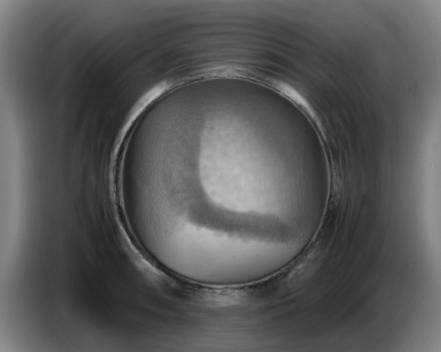 X0000086771090200704201800