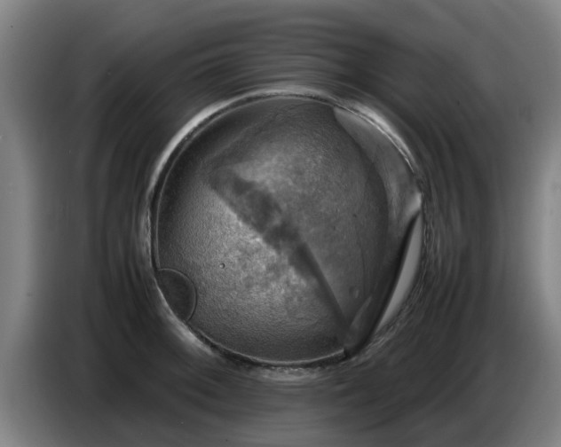 X0000086771092200704201800