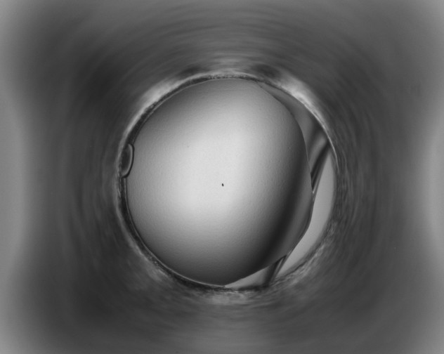 X0000086771093200704201800
