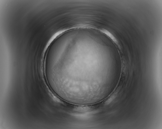 X0000086771094200704201800