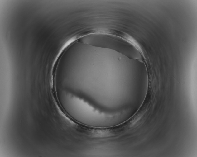 X0000086771095200704201800