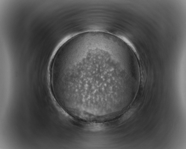 X0000086771096200704201800