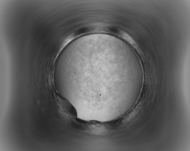 X0000086771097200704201800