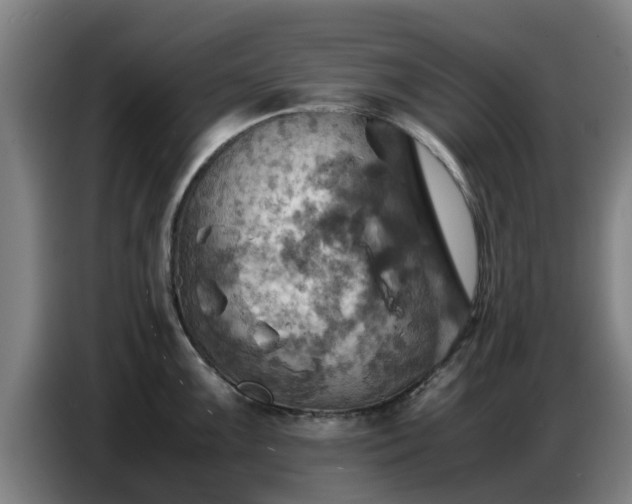 X0000086771099200704201800