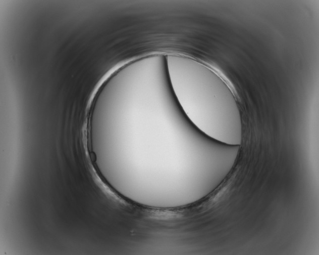 X0000086771100200704201800