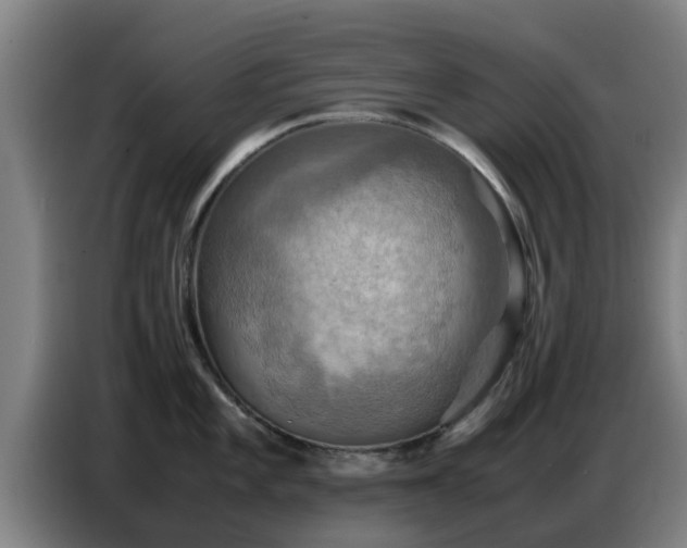 X0000086771101200704201800