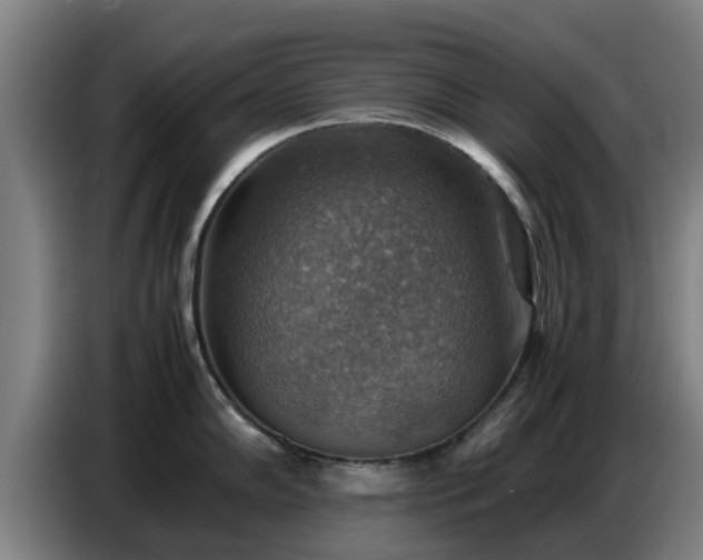 X0000086771102200704201800