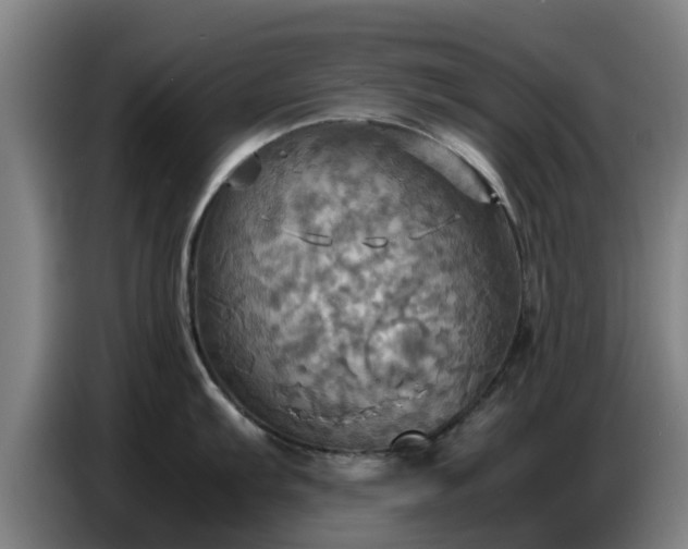 X0000086771103200704201800