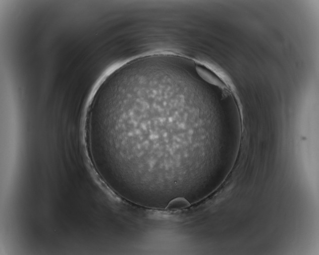 X0000086771104200704201800