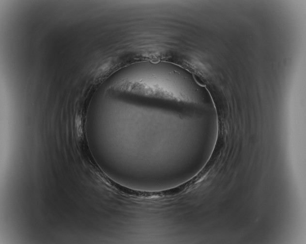 X0000086771106200704201759