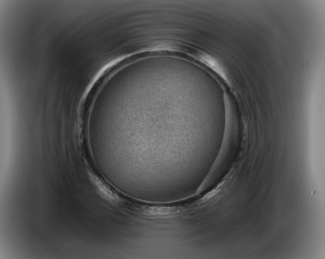 X0000086771116200704201759