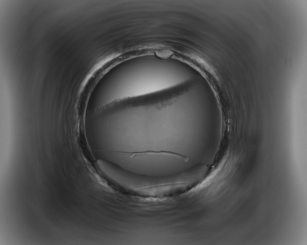 X0000086771117200704201759
