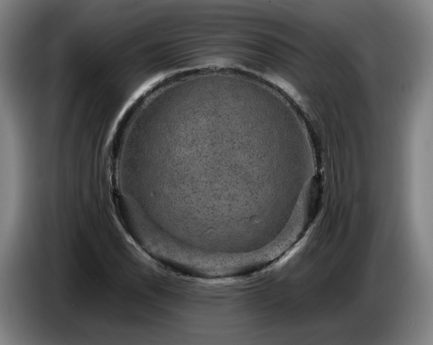 X0000086771118200704201759